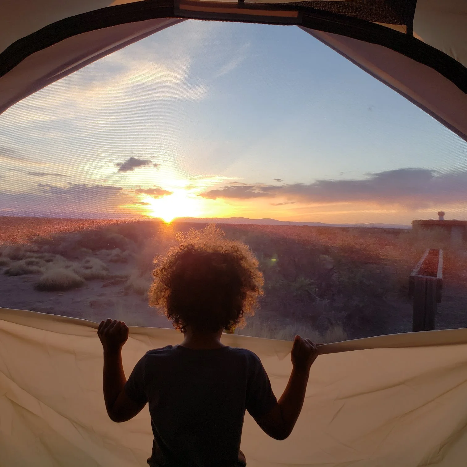 Isis watching the sunset from our tent in San Luis State Wildlife Area Colorado.
