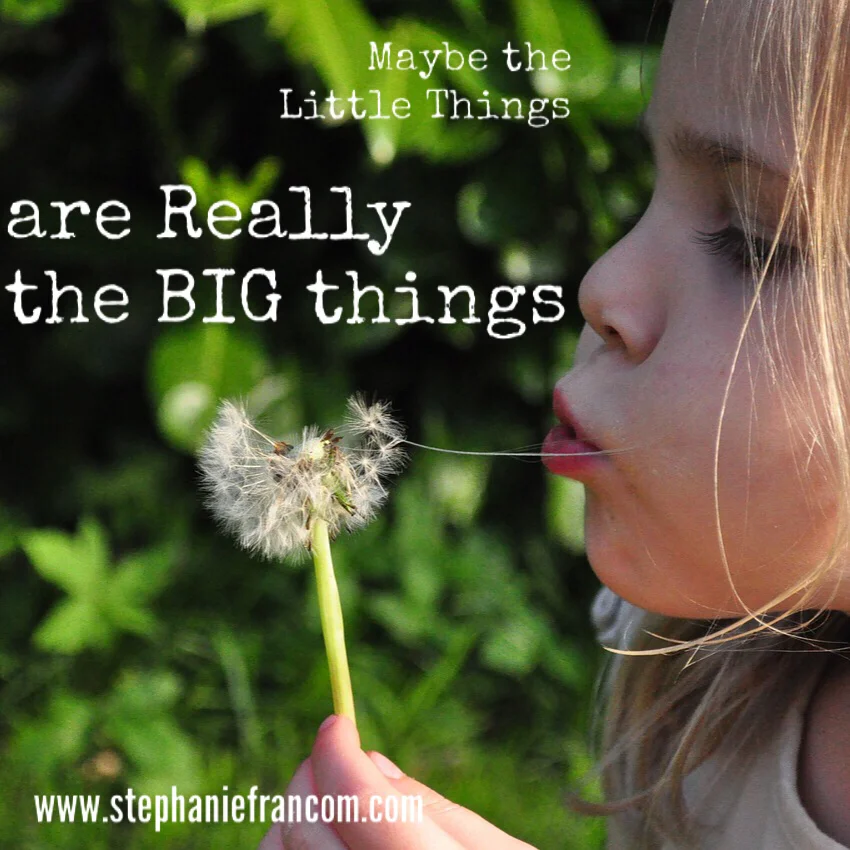 Maybe the Little Things are Really the Big Things