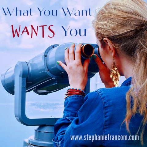 What You Want WANTS You