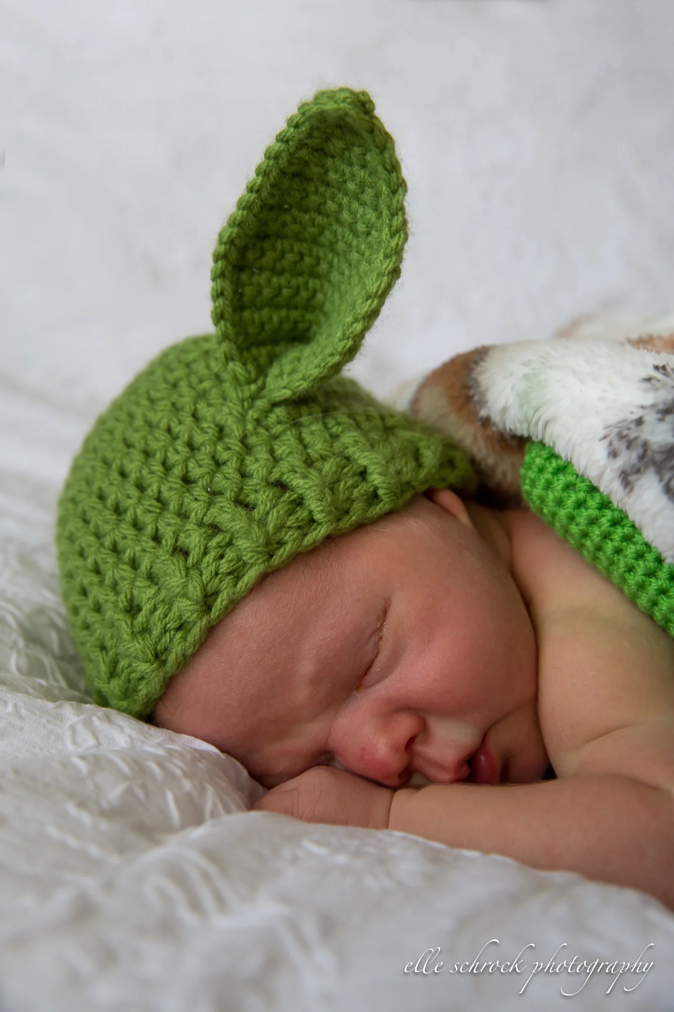 yoda (1 of 1).jpg