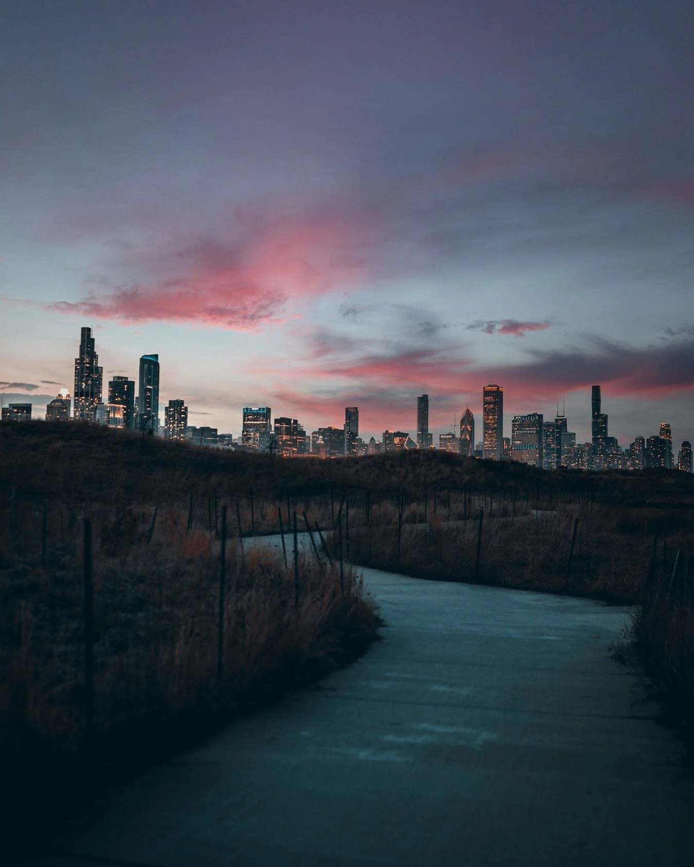 - Nature&rsquo;s Skyline -
⠀⠀⠀⠀⠀⠀⠀⠀⠀
⠀⠀⠀⠀⠀⠀⠀⠀⠀
#chitecture #mychicagopix #BeAlpha #urbanandstreet #chicagopulse #explorechicago #chicagoshot #igerschicago #thechieye #choosechicago #sonyalphapro #ig_chicagoland #chiarchitecture #likechicago #chicagog