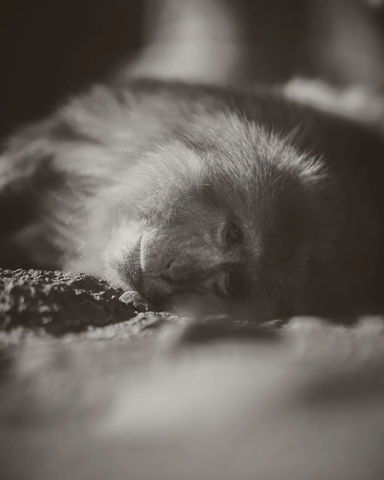 - Thoughts -
⠀⠀⠀⠀⠀⠀⠀⠀⠀
⠀⠀⠀⠀⠀⠀⠀⠀⠀
#chitecture #mychicagopix #BeAlpha #urbanandstreet #chicagopulse #explorechicago #chicagoshot #igerschicago #thechieye #choosechicago #sonyalphapro #ig_chicagoland #chiarchitecture #likechicago #chicagogram #windycity