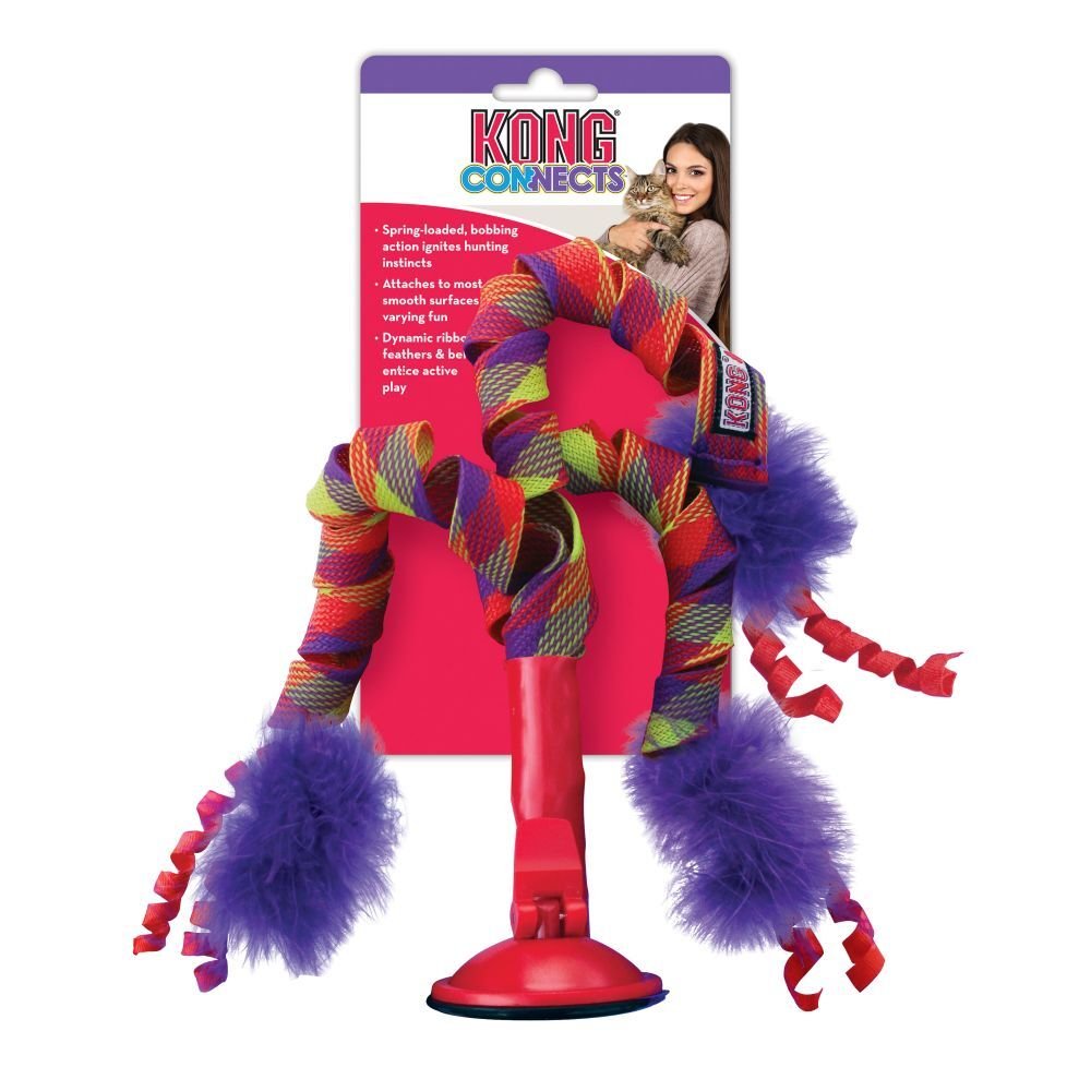 Kong curls 2.jpg