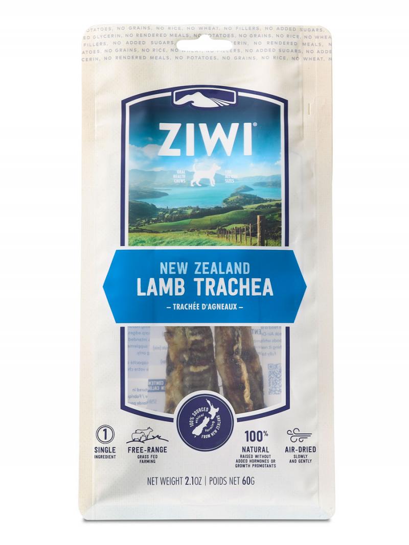 lamb-trachea-front.jpg