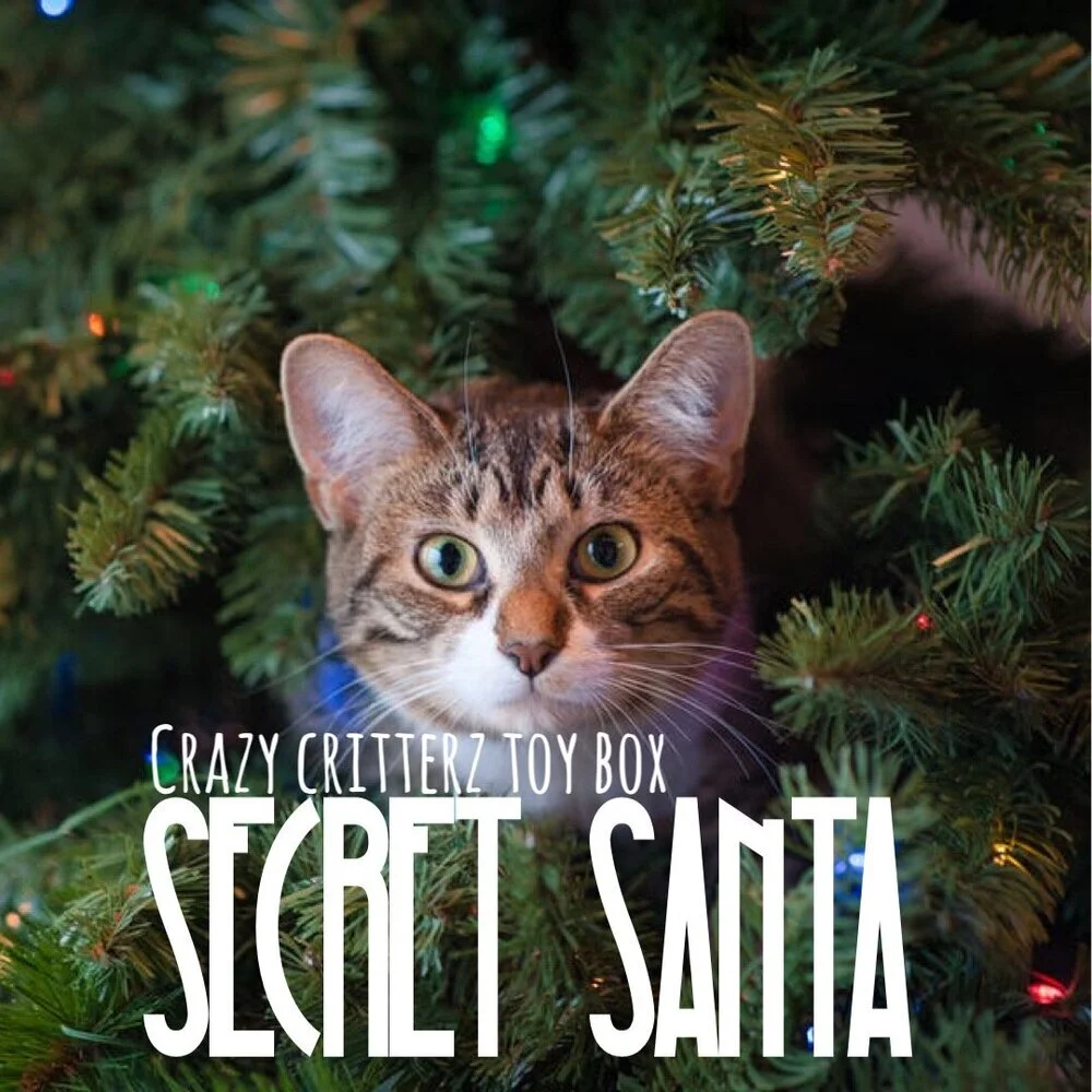 Crazy Kitty Secret Santa