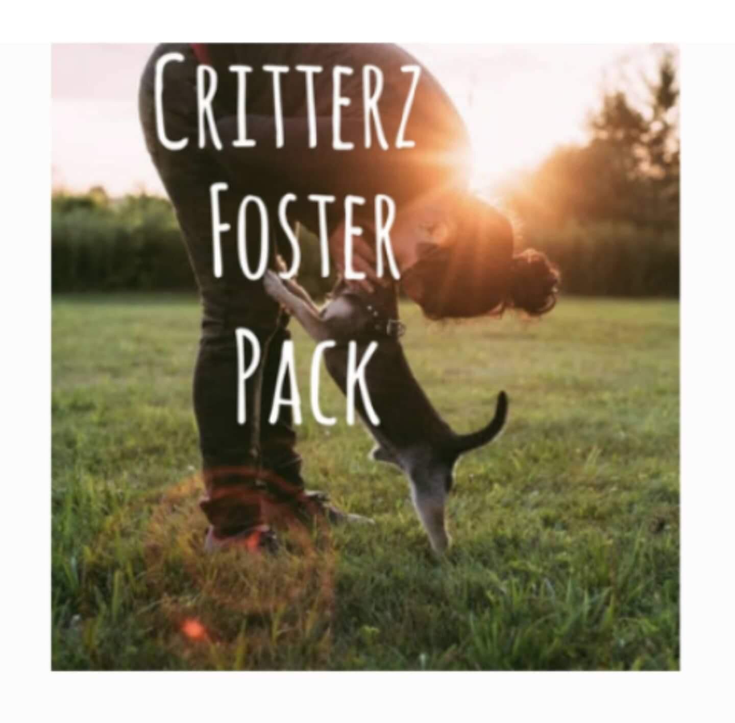 foster dog.JPG