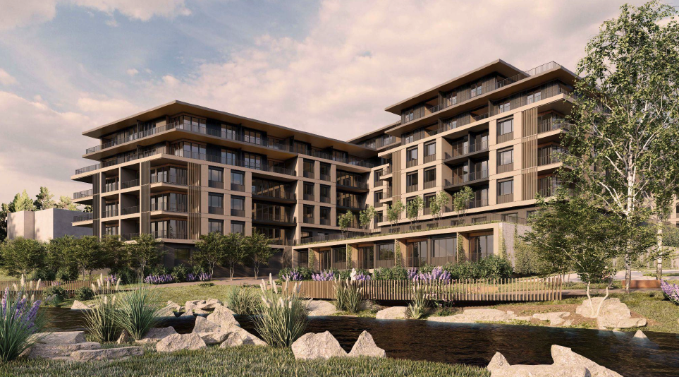 Screenshot 2023-06-16 at 8.56.40 AM.png