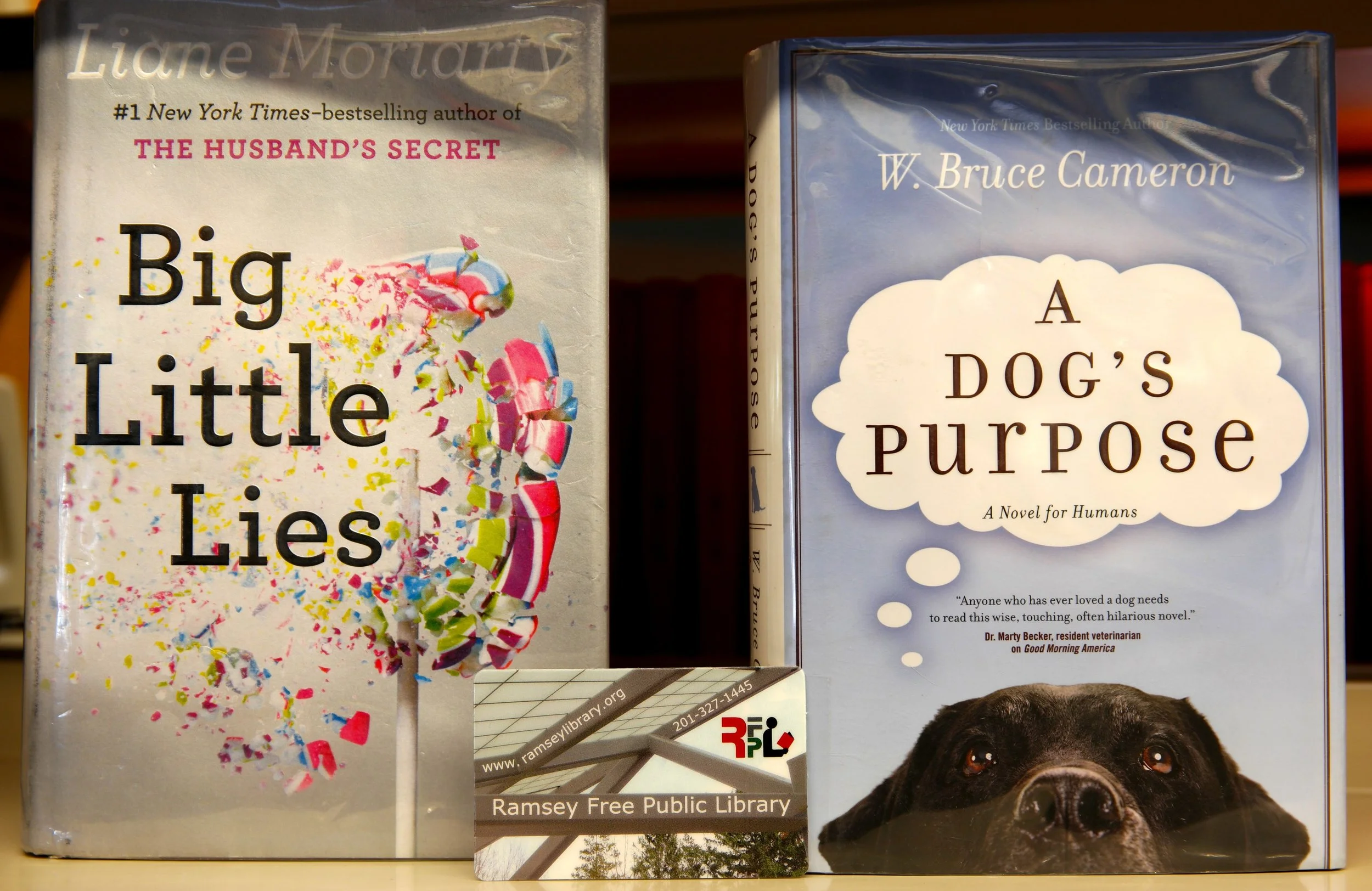 Library Card Tight 3.jpg