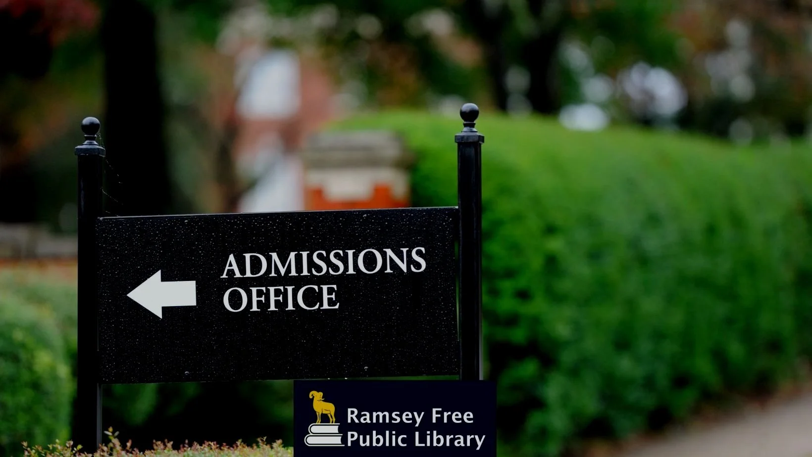 College Admissions