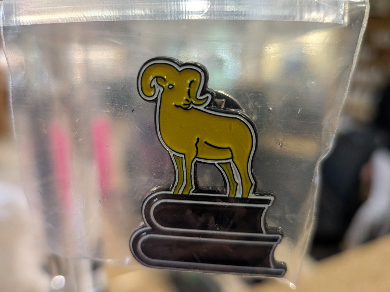 pin.jpg