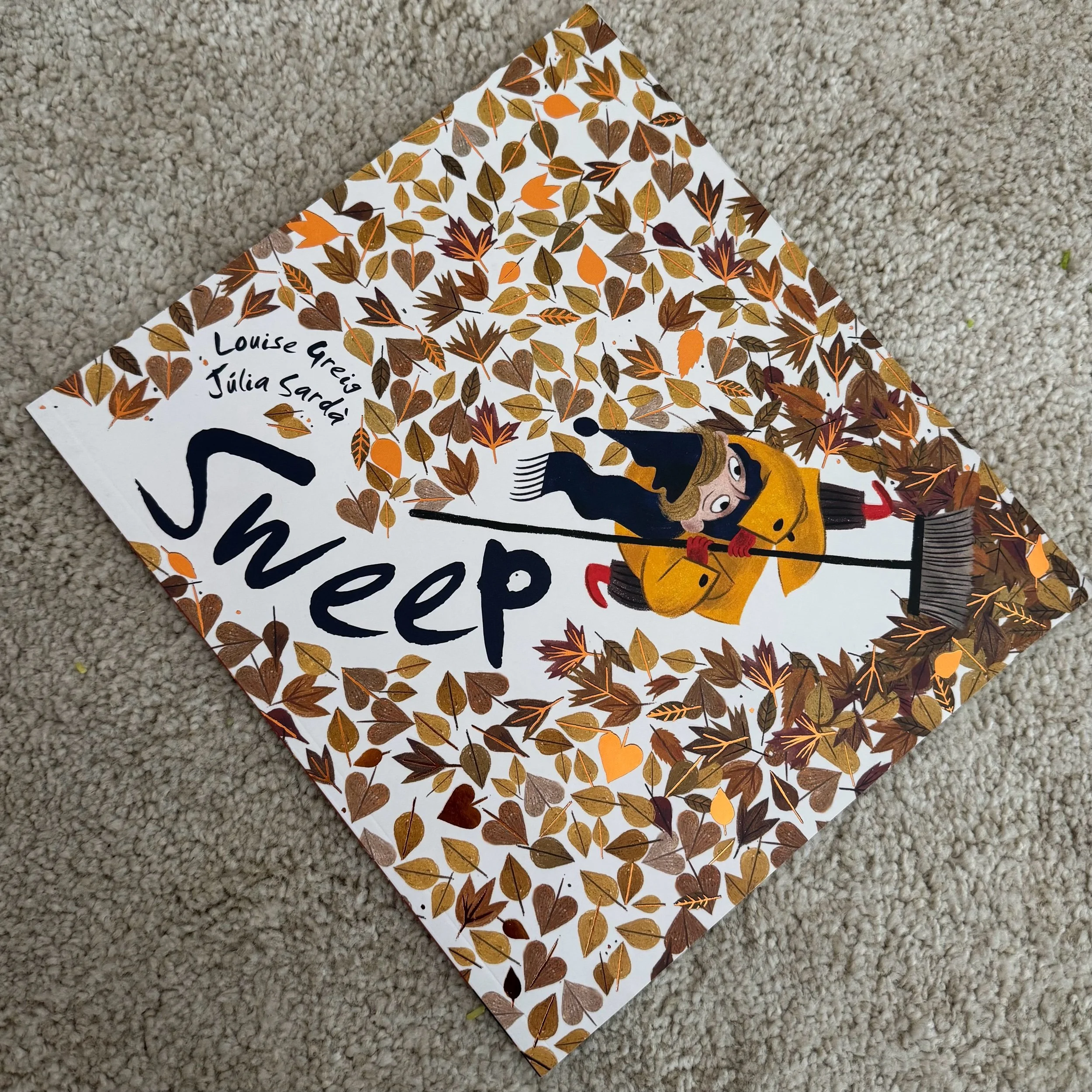 Sweep by Louise Greig and Julia Sarda