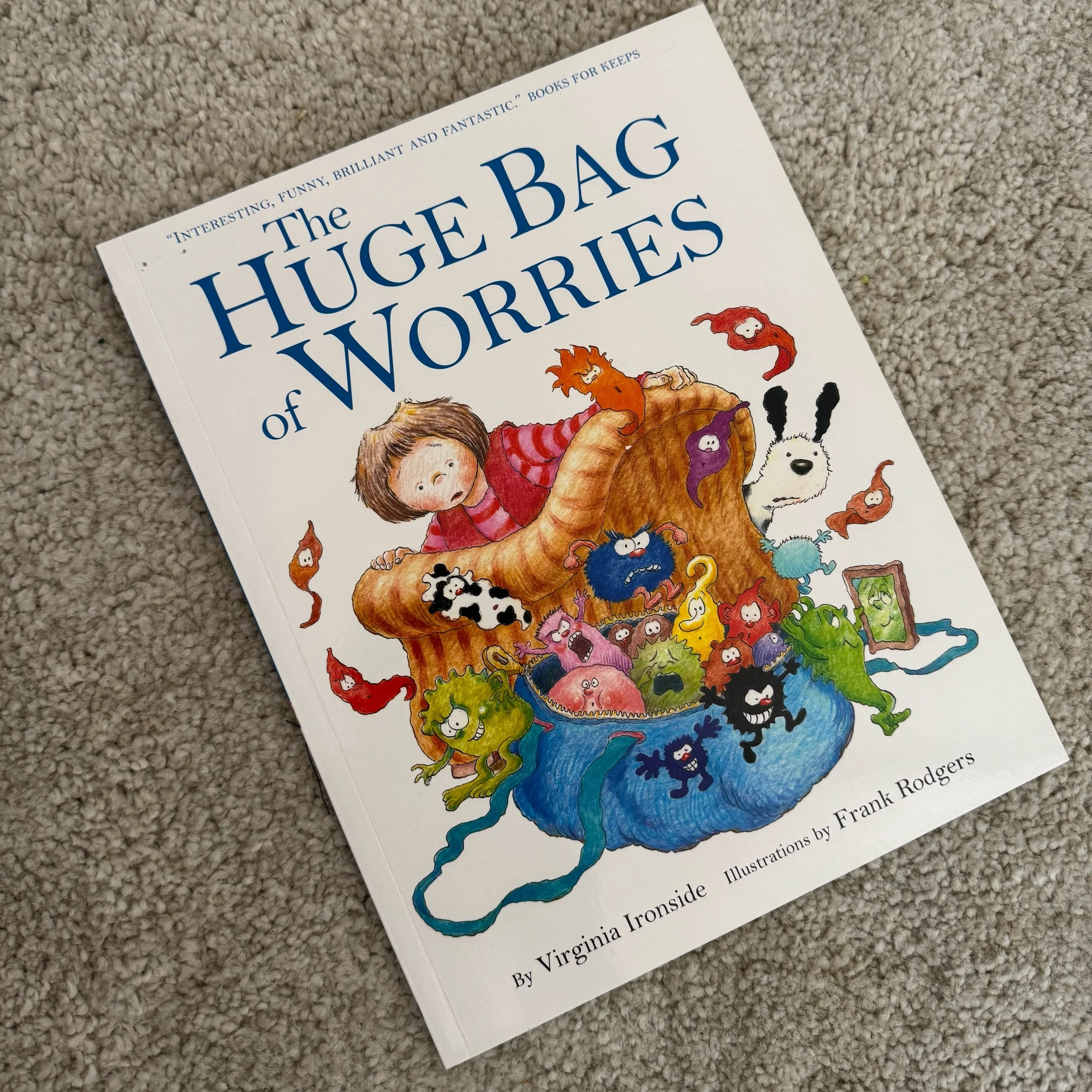 The huge bag of worries by Virginia Ironside