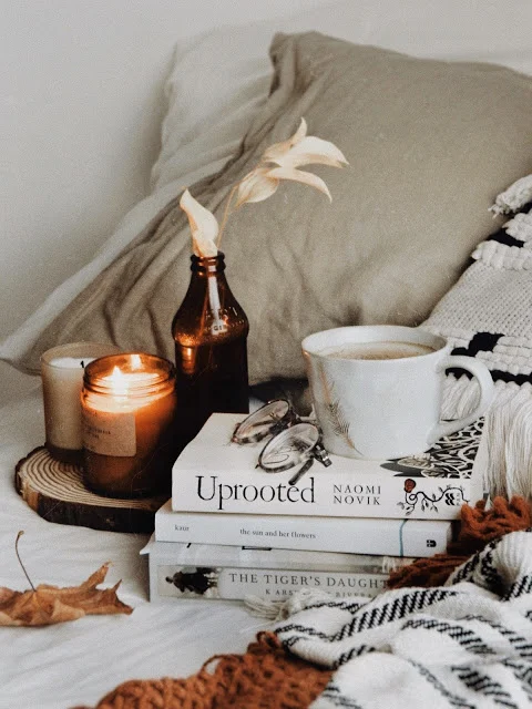 END OF THE YEAR BOOK TAG. 