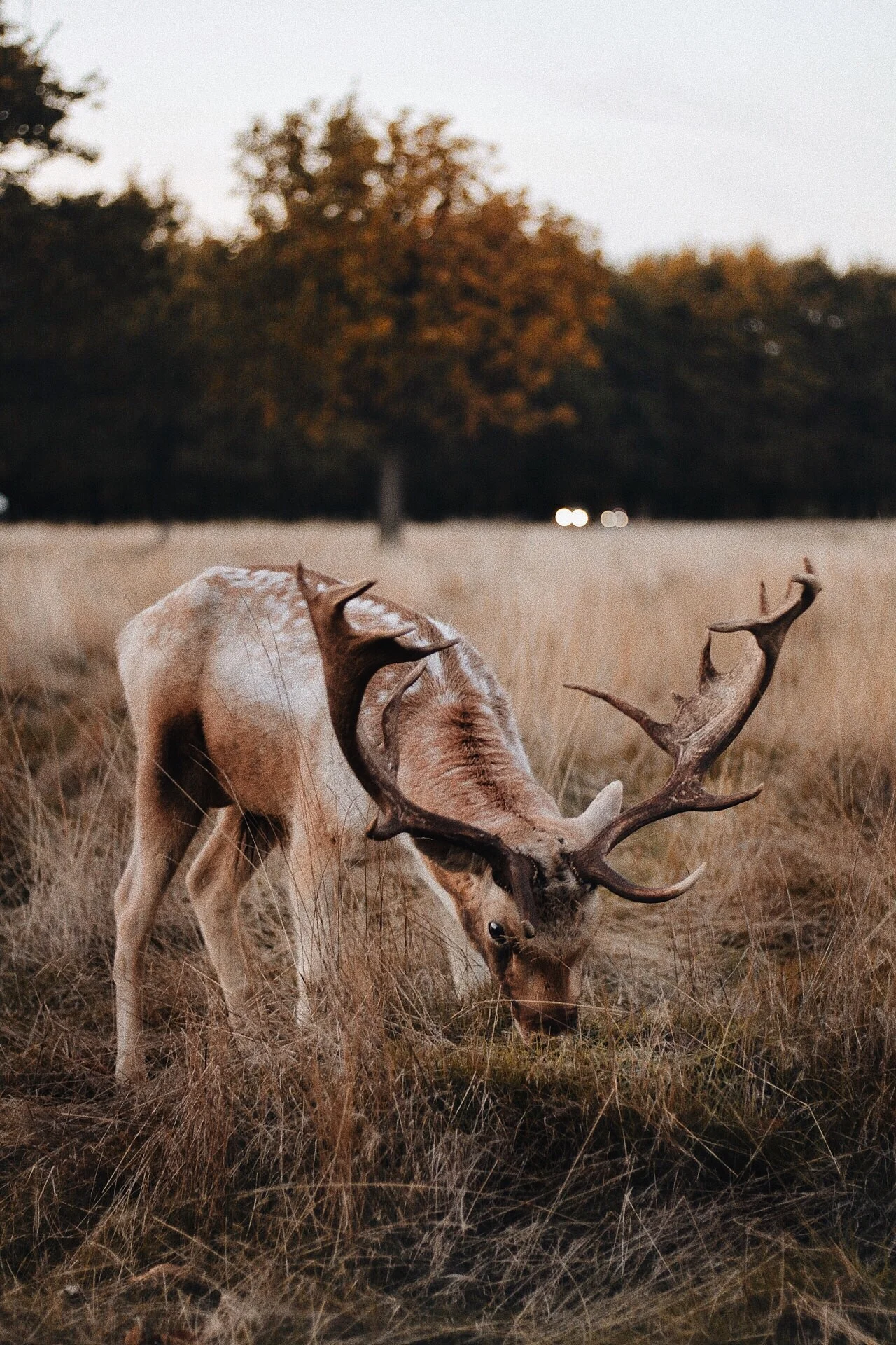 DAY TRIPPER; INSPIRATION FOR THREE DAYS OUT IN LONDON.