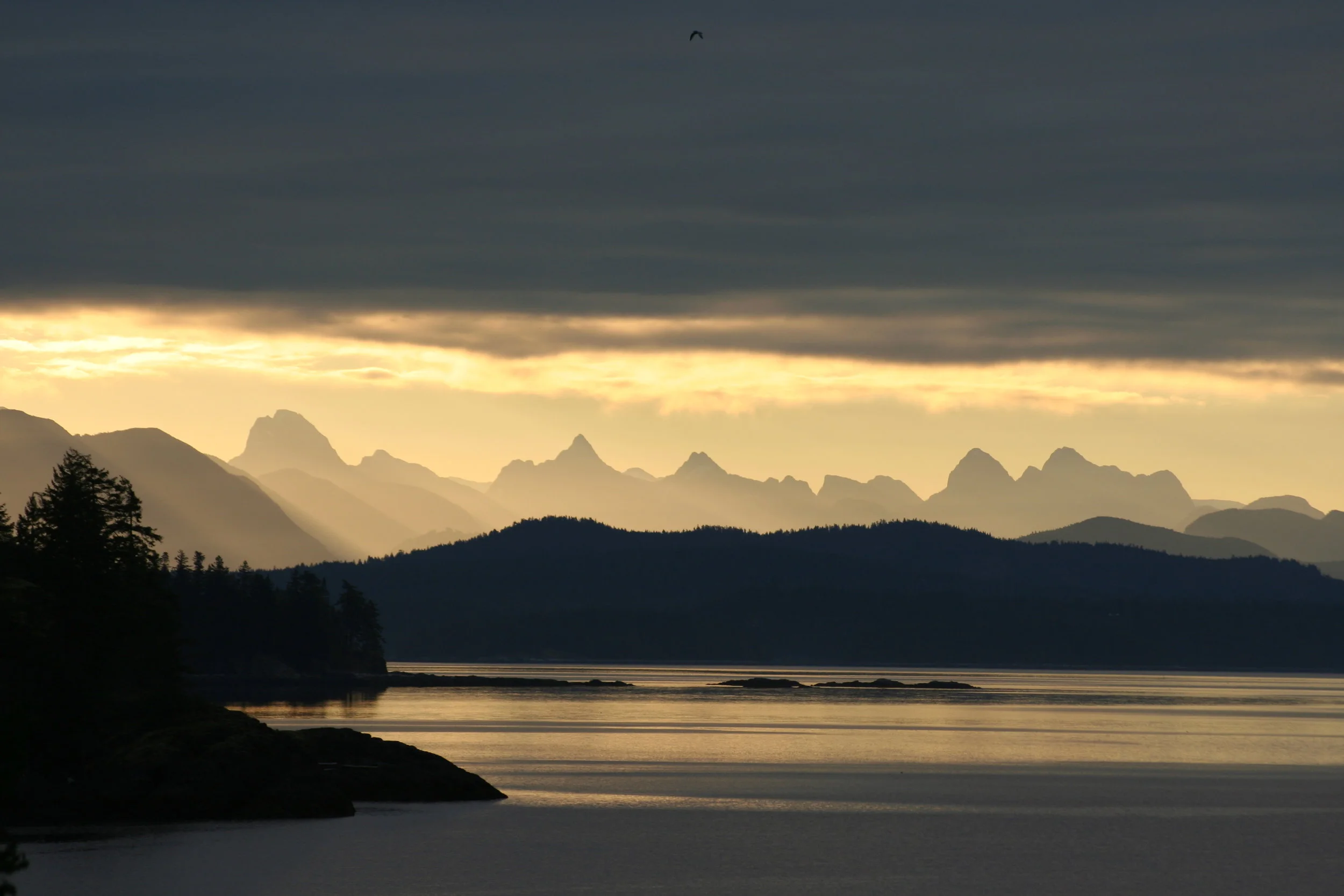 Early morning from home. Hyacinthe Bay, BC.