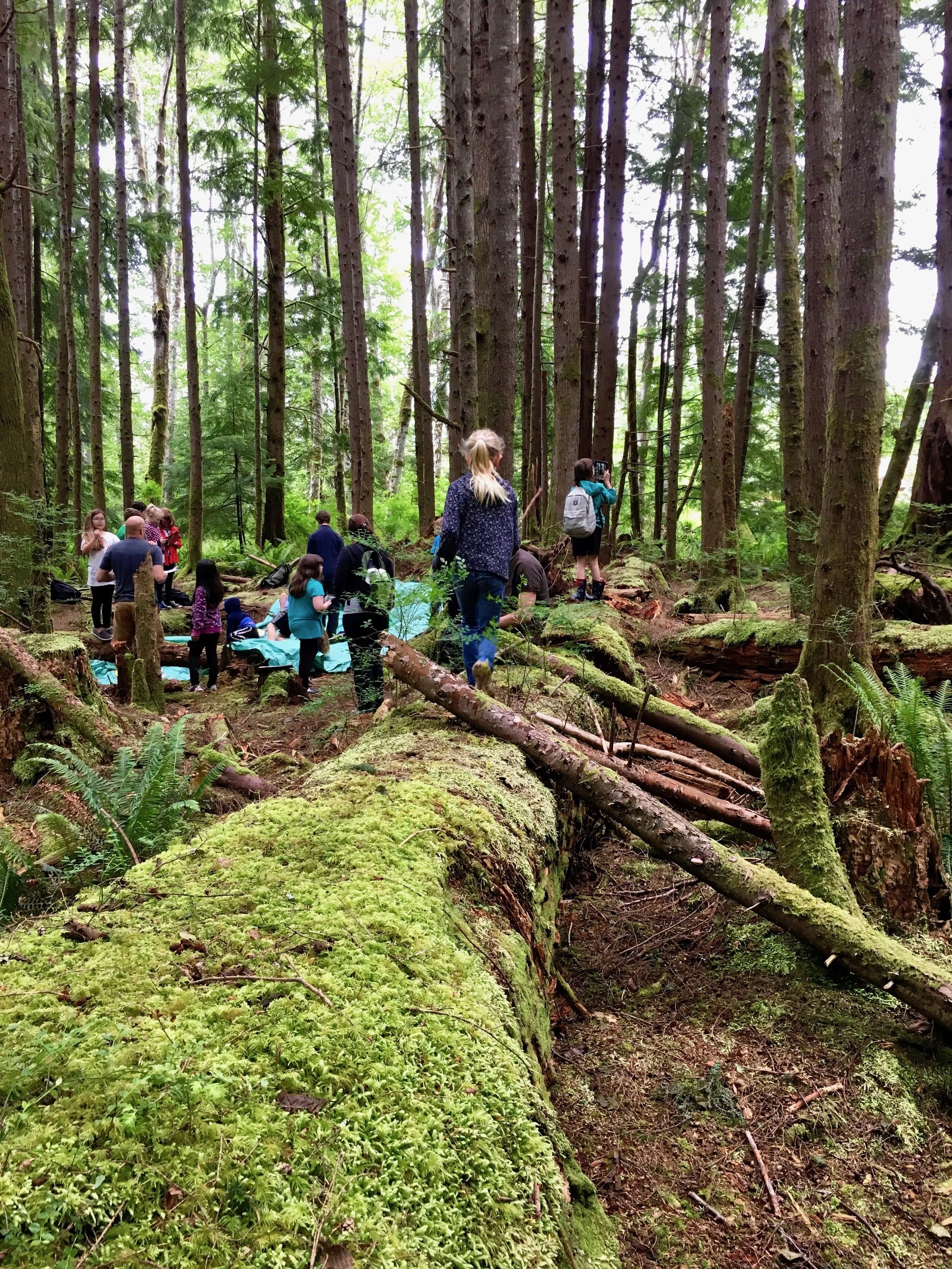 StudyBuild_QForest_bioblitz_log run_IMG_1766.jpg