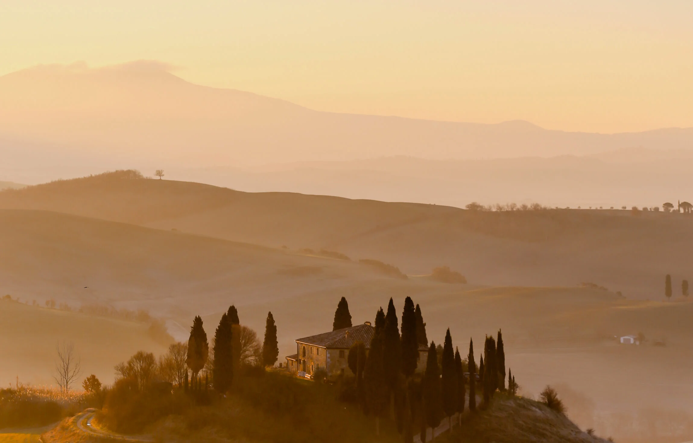 provence2.jpg