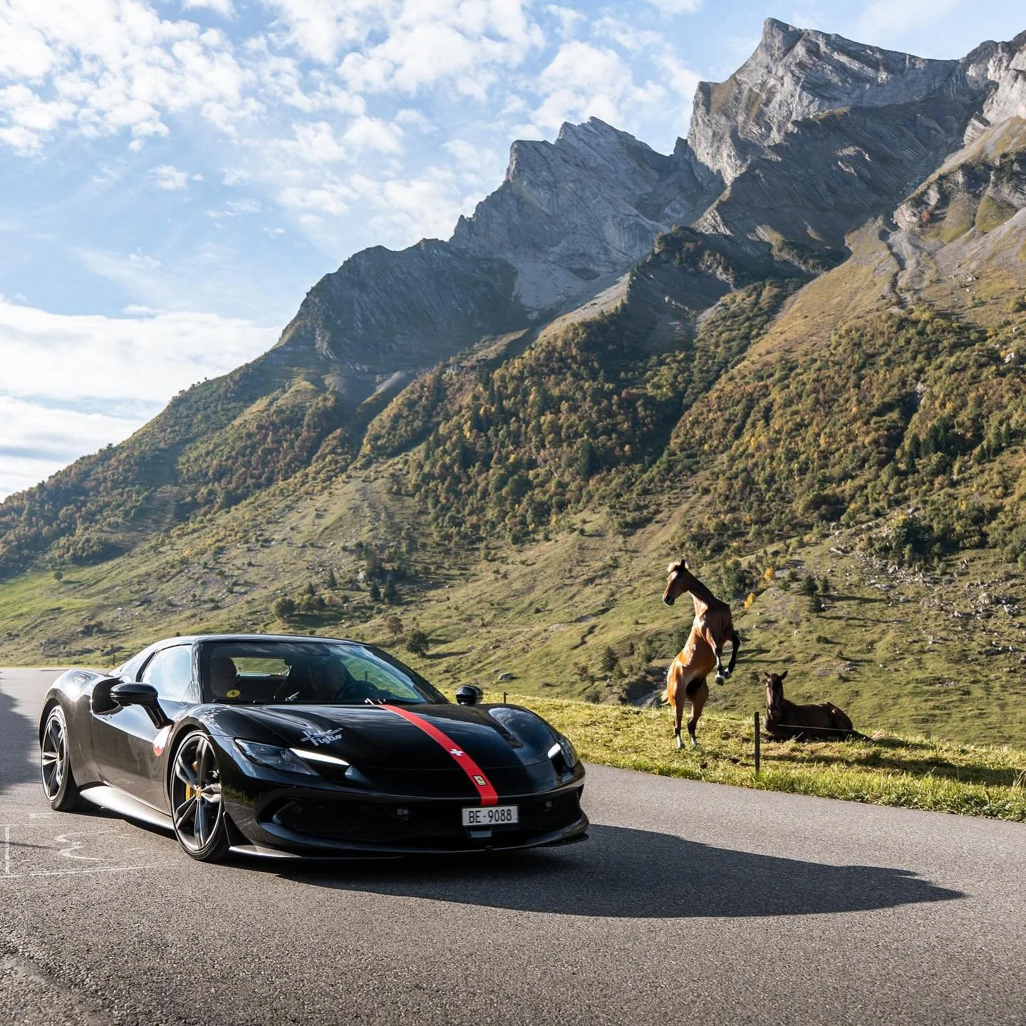 ➖REALLY➖

No fakes here! Really prancing when seeing a Ferrari during Padre-Figlio and Padre-Figlia&hellip;
-
Aucun trucage! Un vrai cheval qui se cabre &agrave; la vue d&rsquo;une Ferrari lors du Padre-Figlio et Padre-Figlia&hellip;
.
.
.
#happyfewr