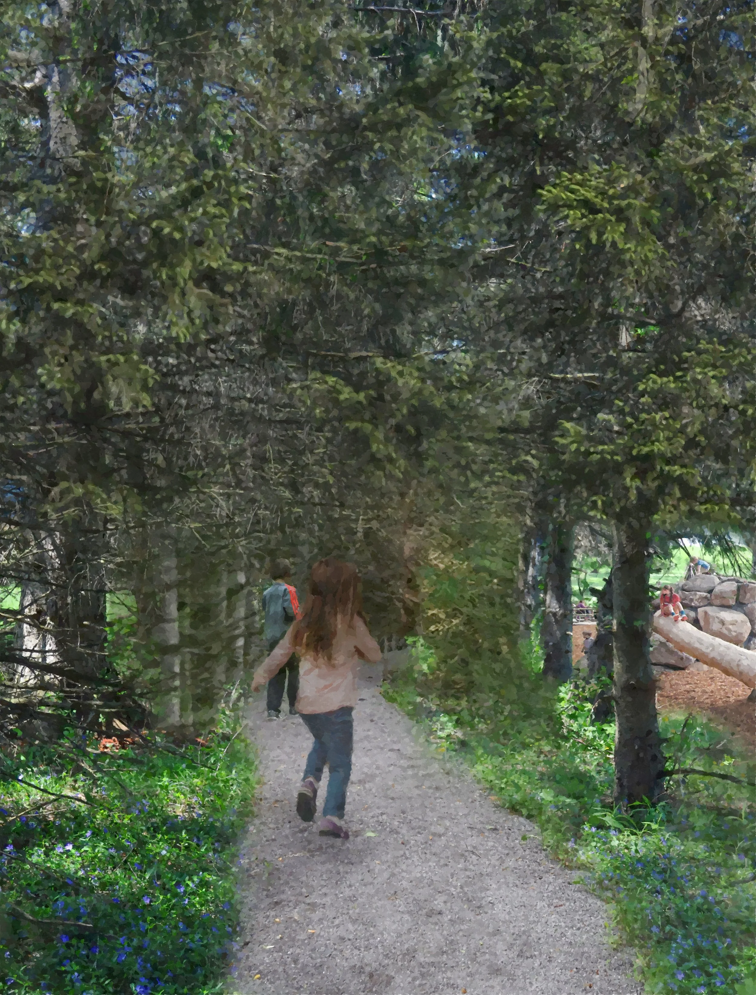 Schantz Park — Steele Landscape Architecture