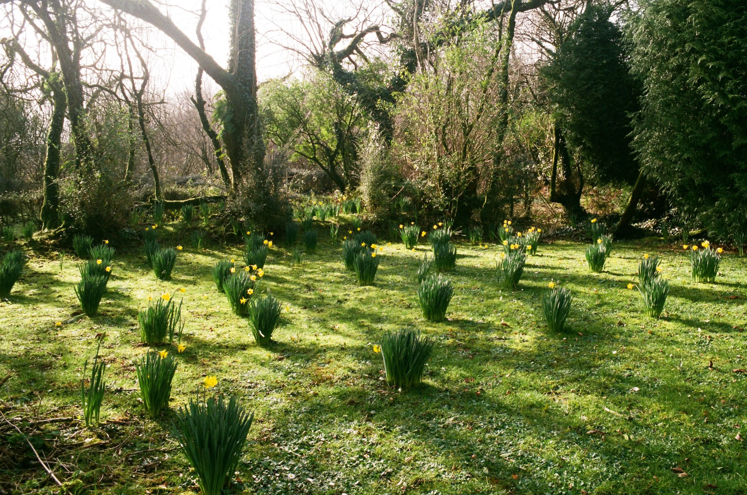 BRYN EGLUR - CARMARTHENSHIRE
