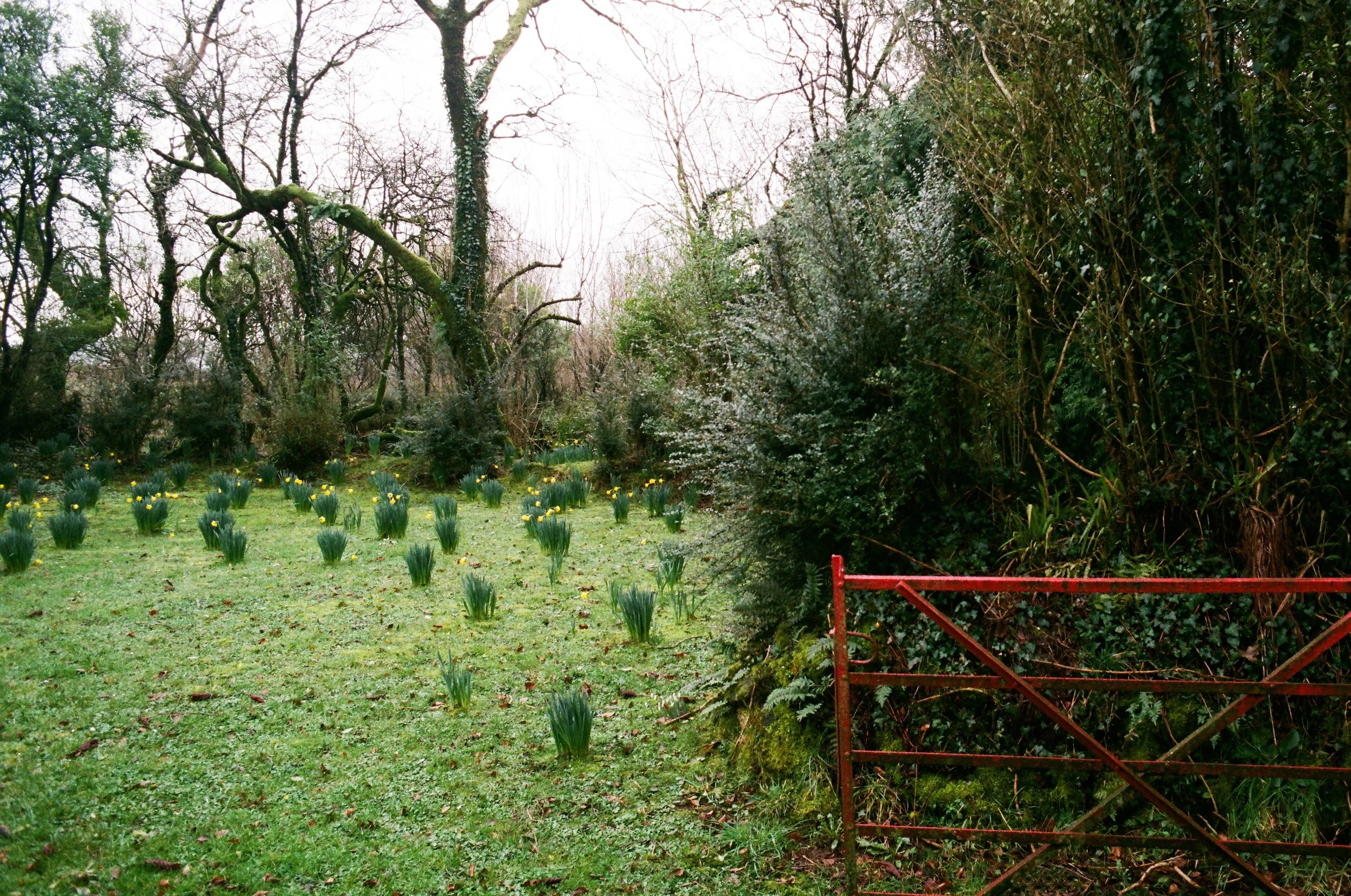 BRYN EGLUR - CARMARTHENSHIRE