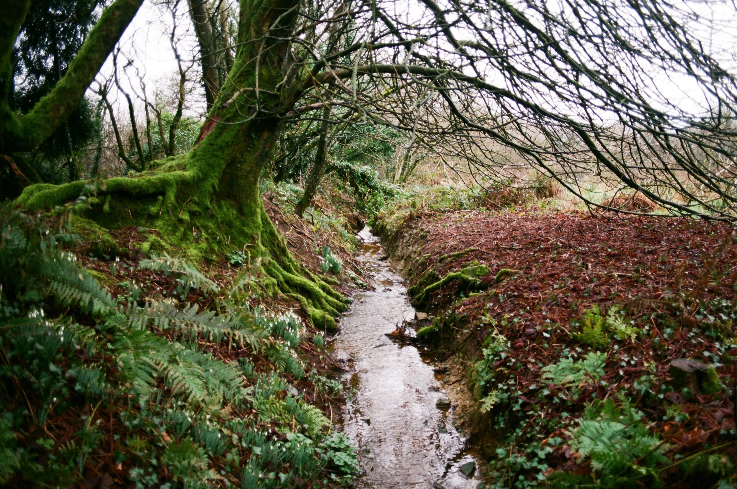 BRYN EGLUR - CARMARTHENSHIRE