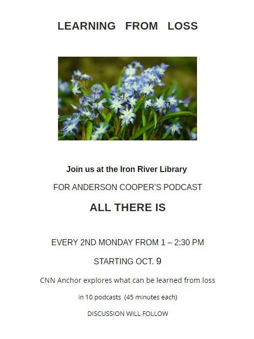 Learning From Loss at the library