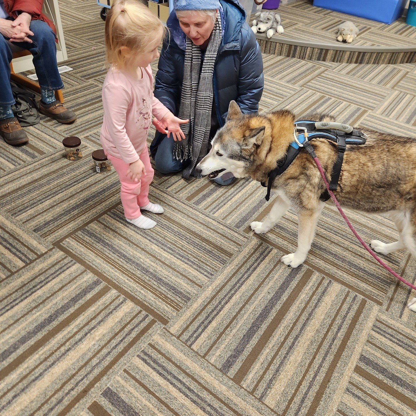 The children (and adults) were able to enjoy meeting Xena and Jess at our Dog Sled Storytime last night!