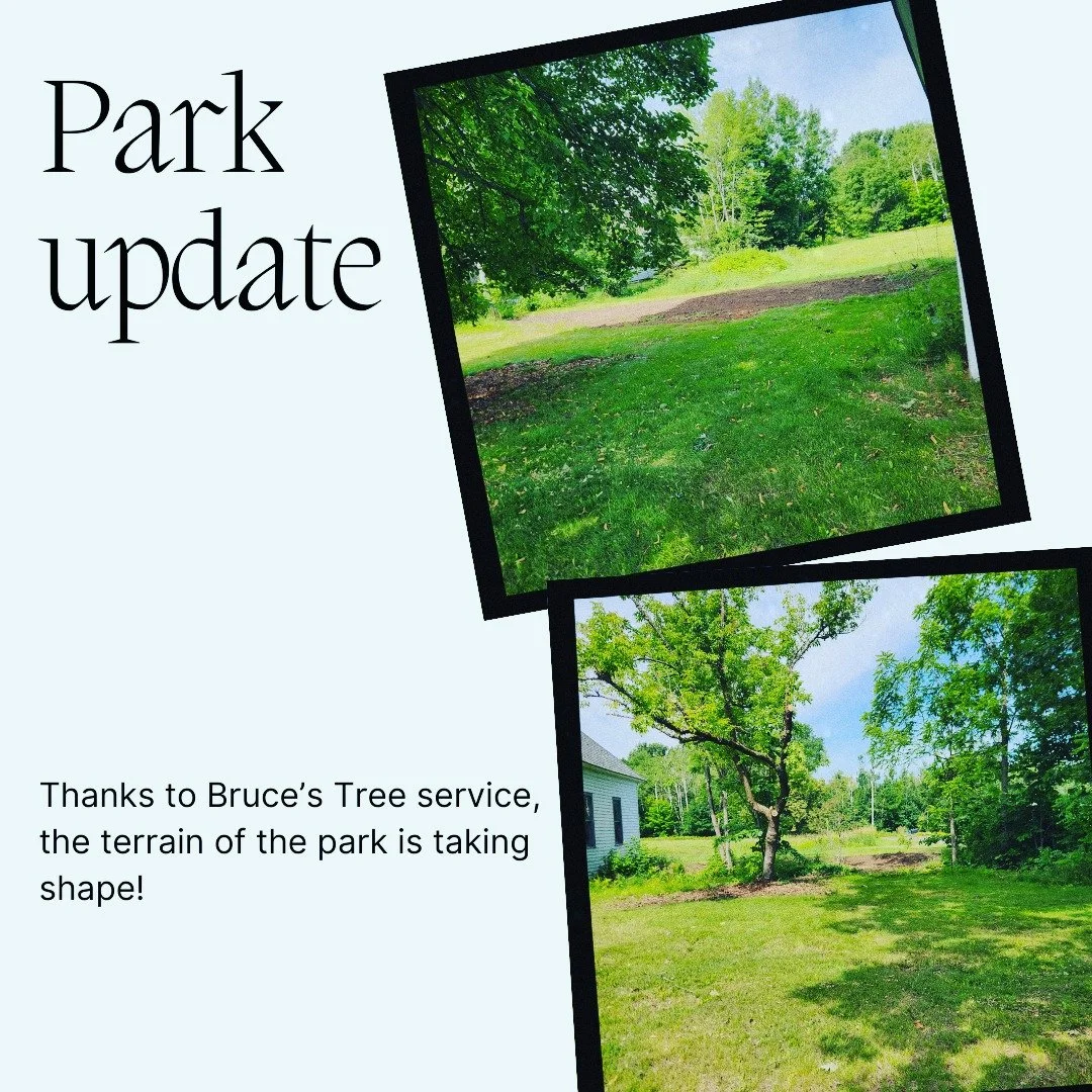 Thanks to Bruce's Tree Service the Iron River Library-Callahan park is moving forward.
