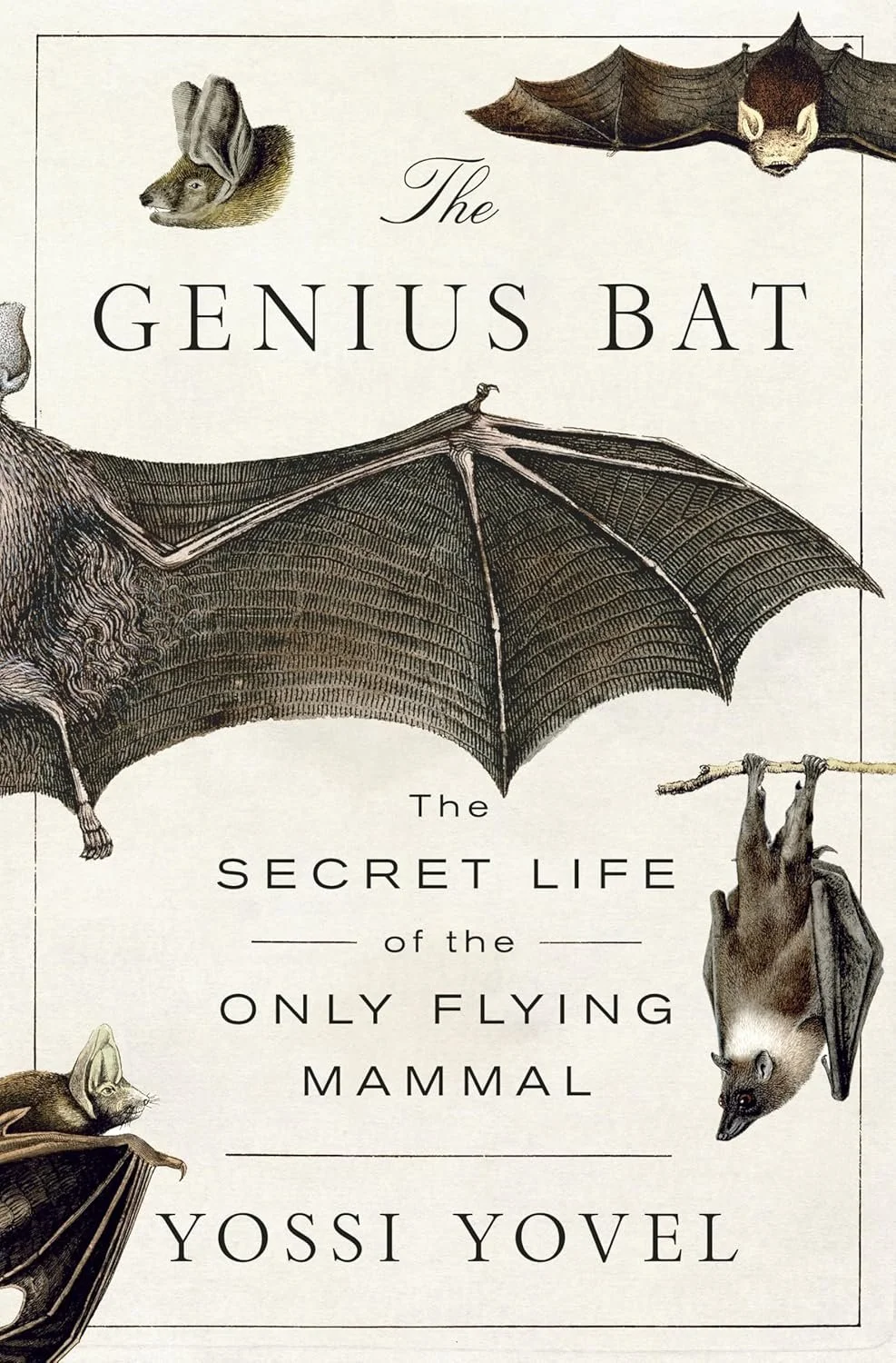 The genius bat : the secret life of the only flying mammal by yossi yovel