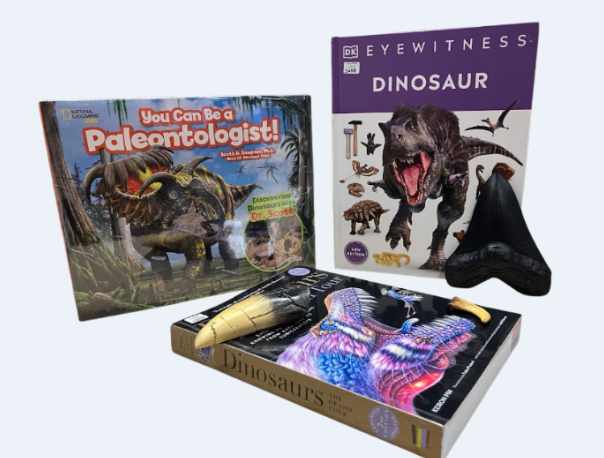 Dinosaur Kit