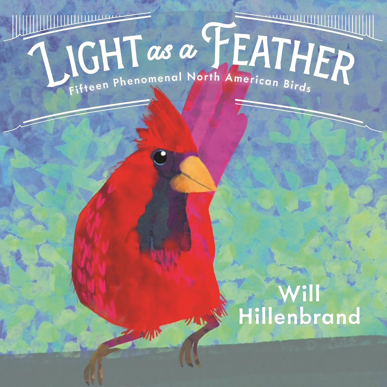light as a feather : fifteen phenomenal north american birds by will hillenbrand
