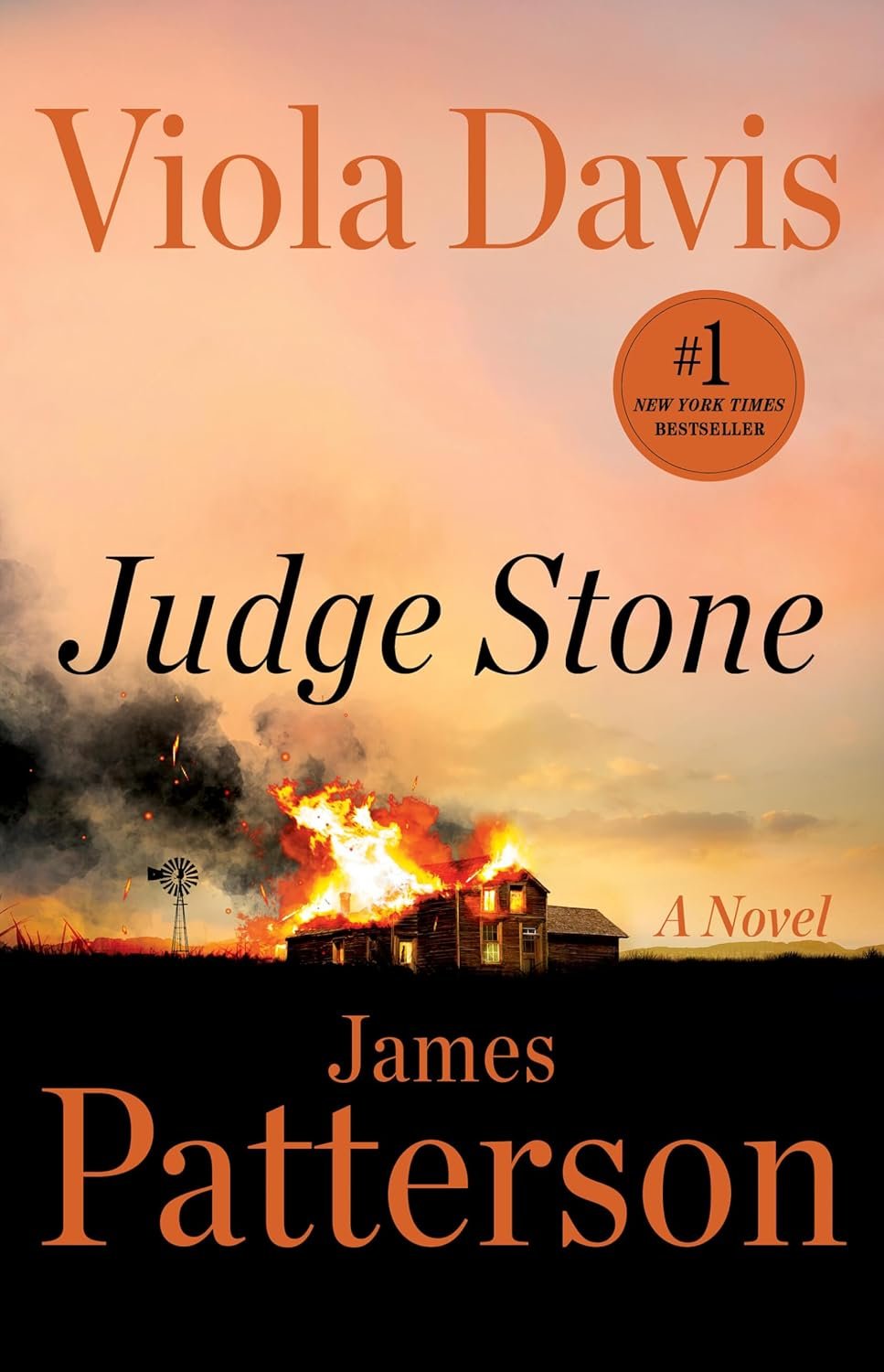 judge stone : a novel by viola davis &amp; james patterson