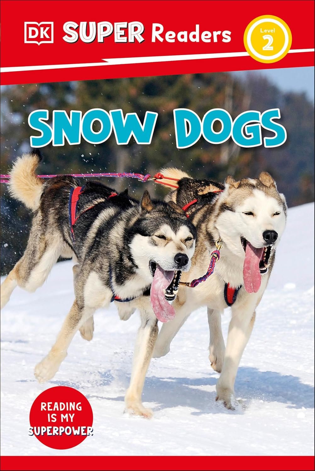 snow dogs by dk