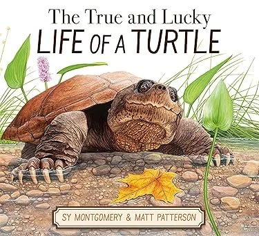 the true and lucky life of a turtle by sy montgomery &amp; matt patterson