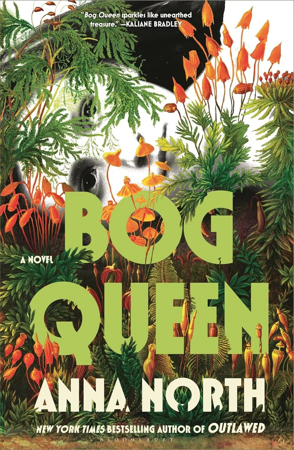 bog queen by anna north