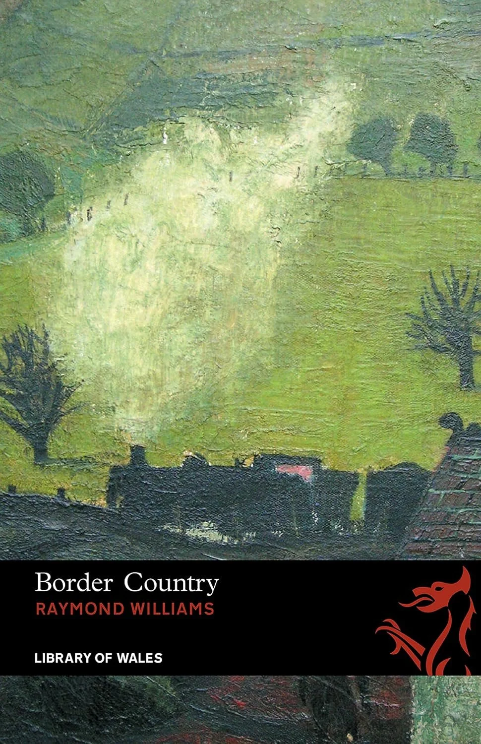 border country by raymond williams