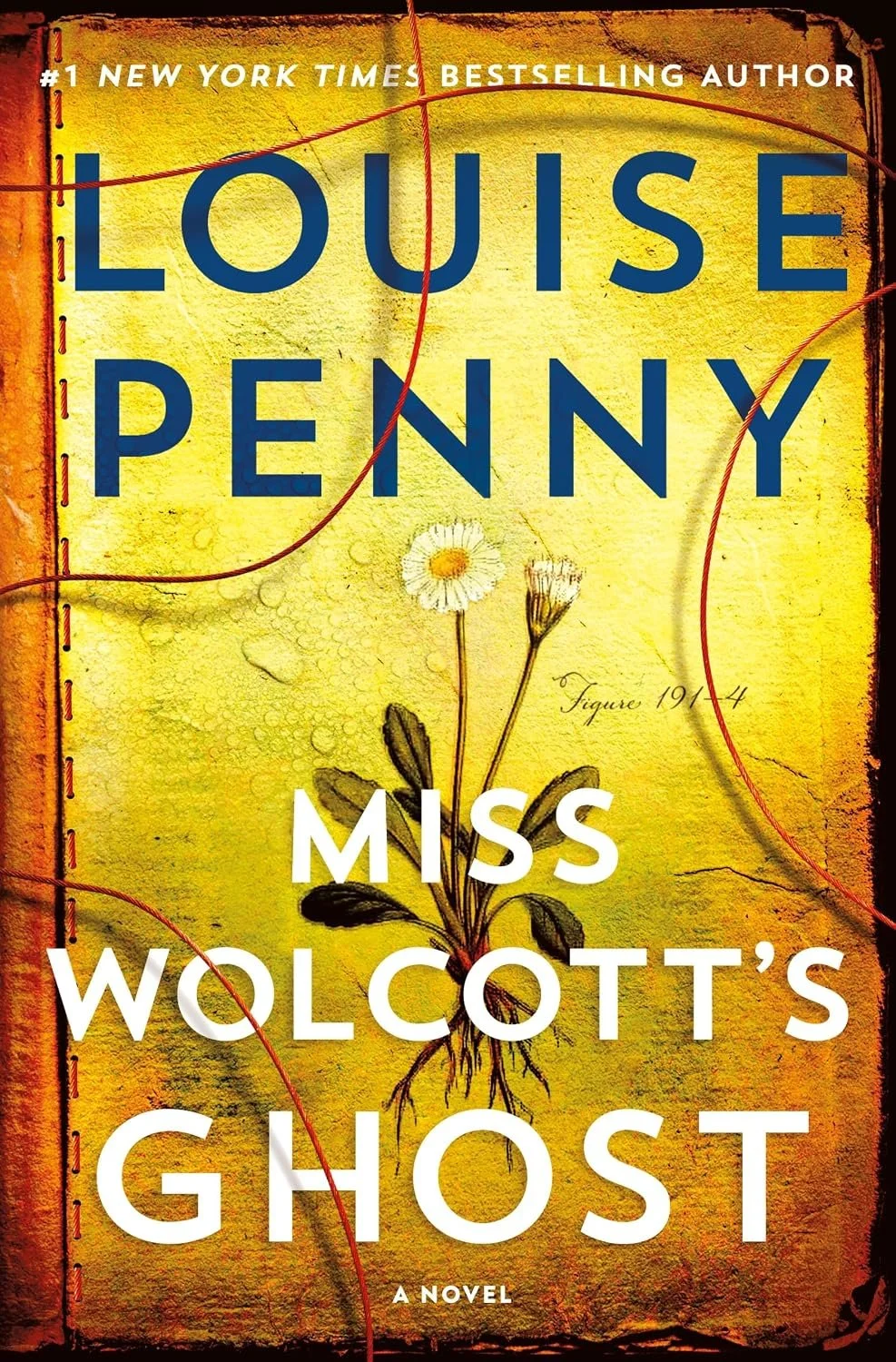 Miss Wolcott's ghost by louise penny