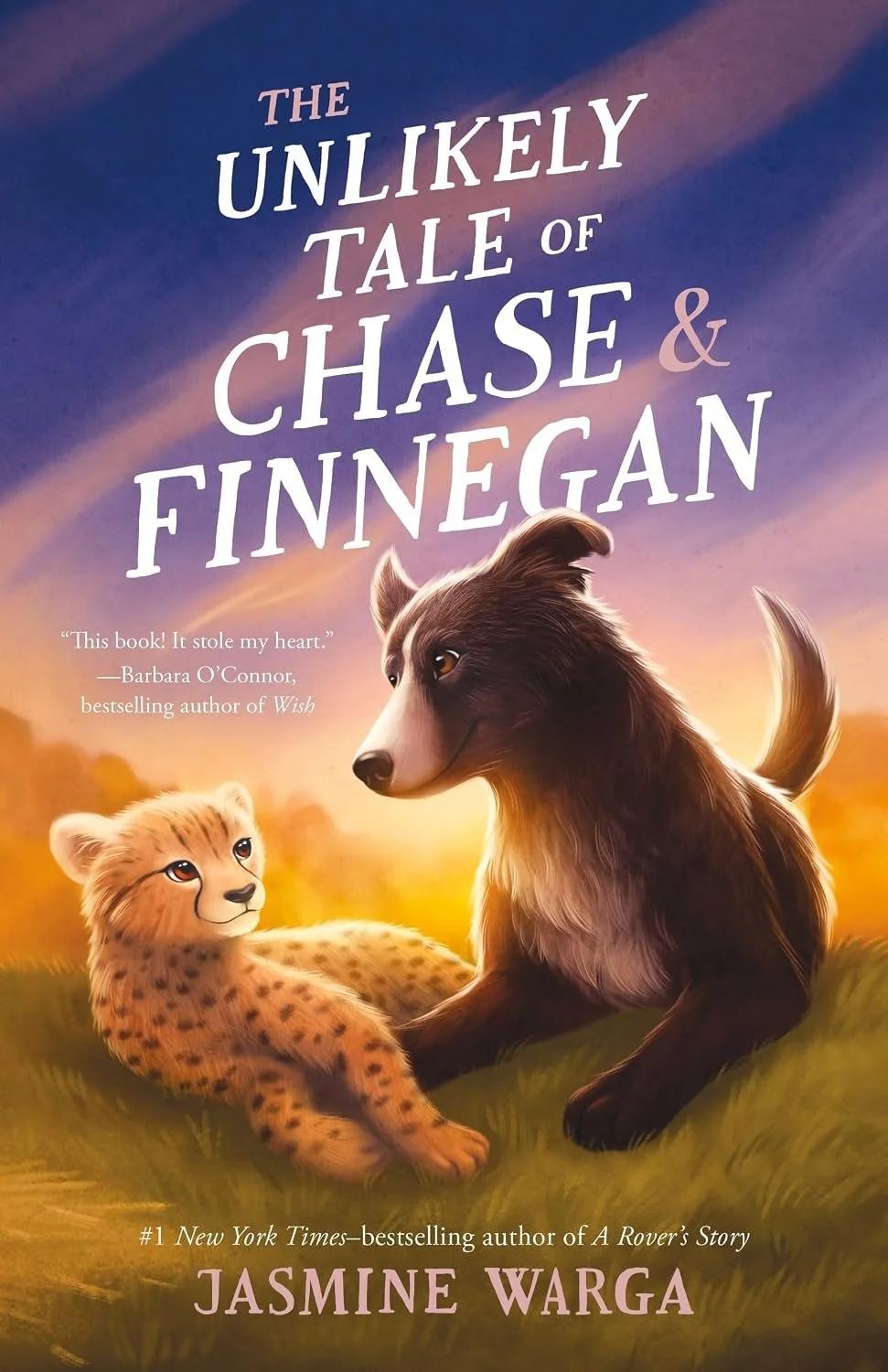 the unlikely tale of chase &amp; finnegan by jasmine warga