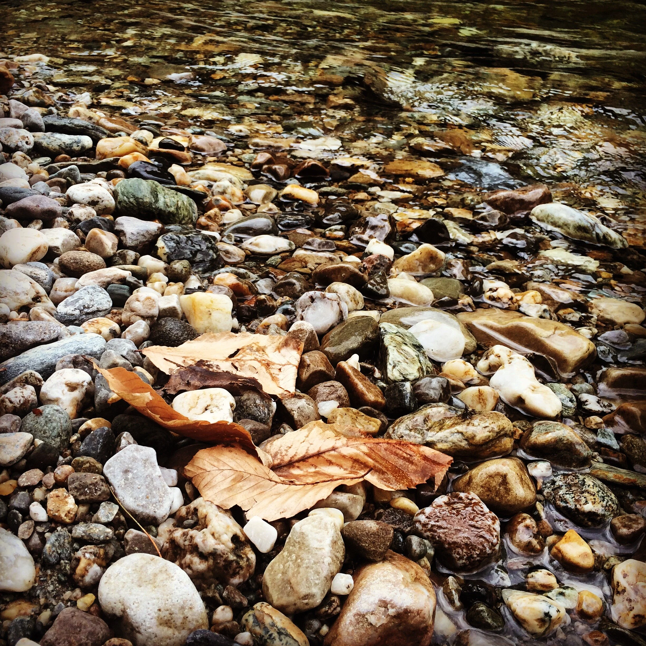 4-1-20 This is why I write