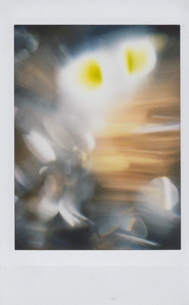Glass Eye Polaroid Project 