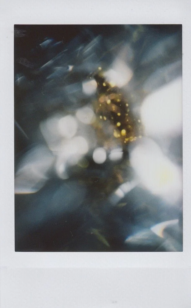 Glass Eye Polaroid Project 
