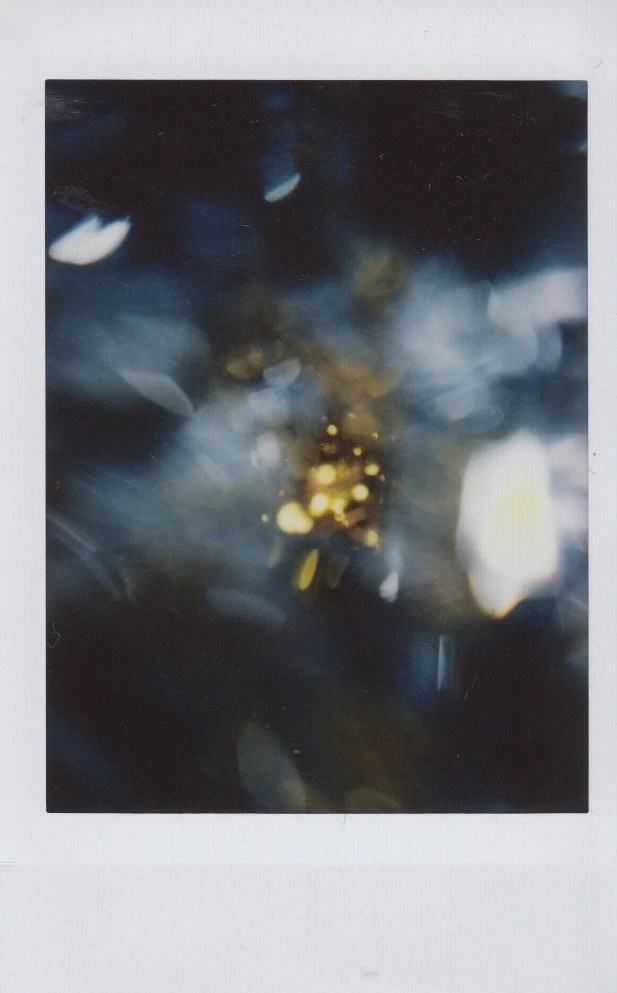 Glass Eye Polaroid Project 