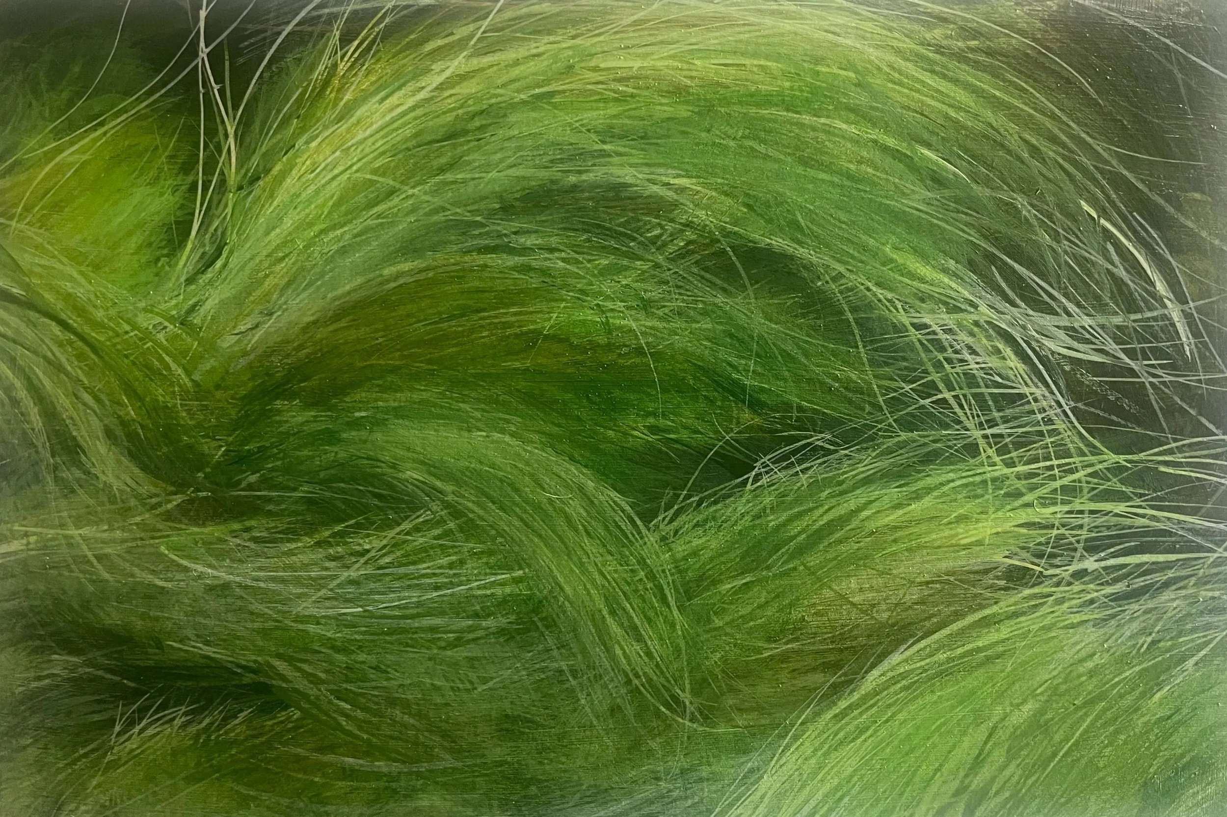 Green Grass