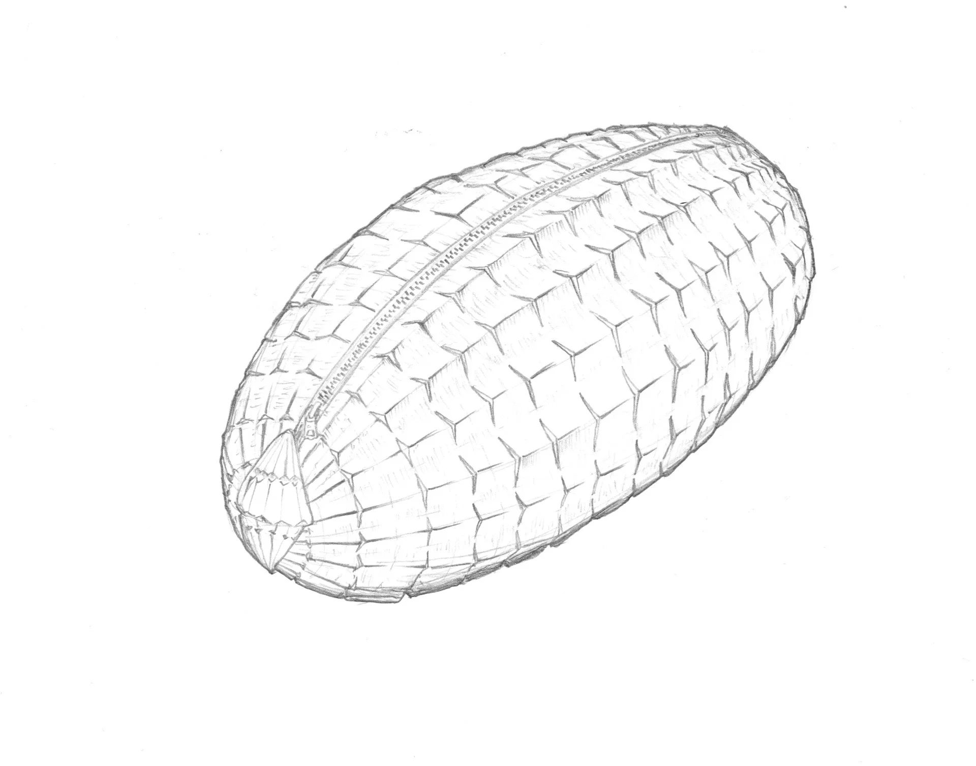 download-9.jpg