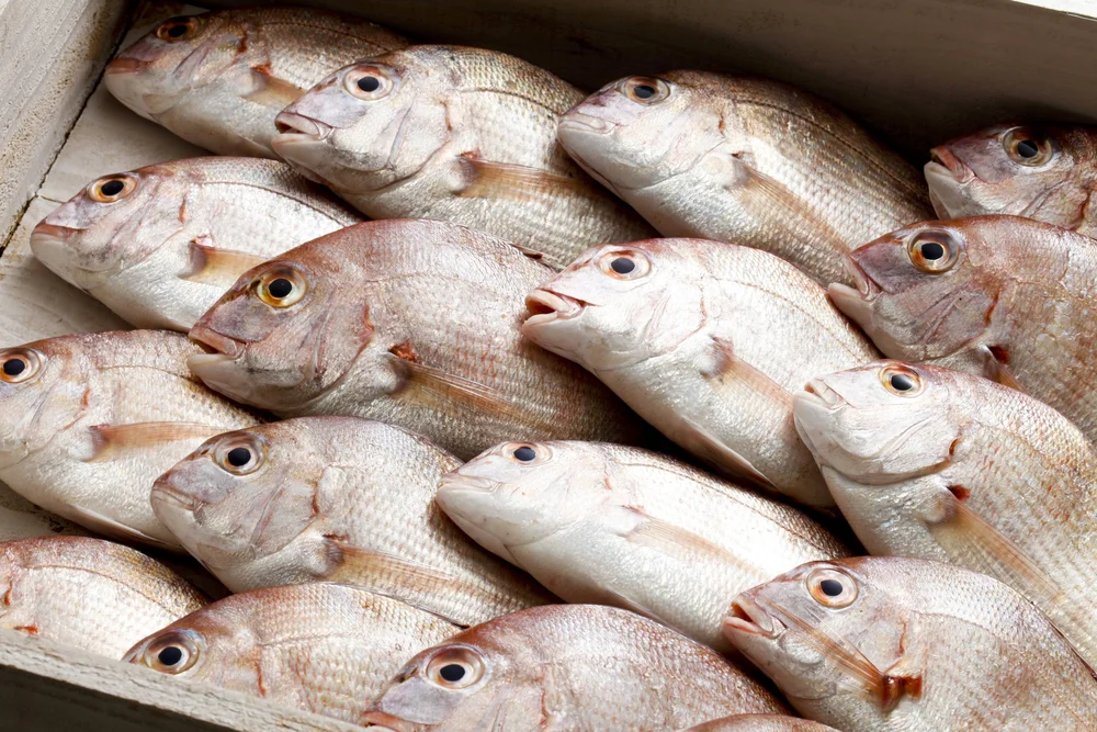 SEAFOOD — H MART Pacific Northwest Better Food! Better Life!