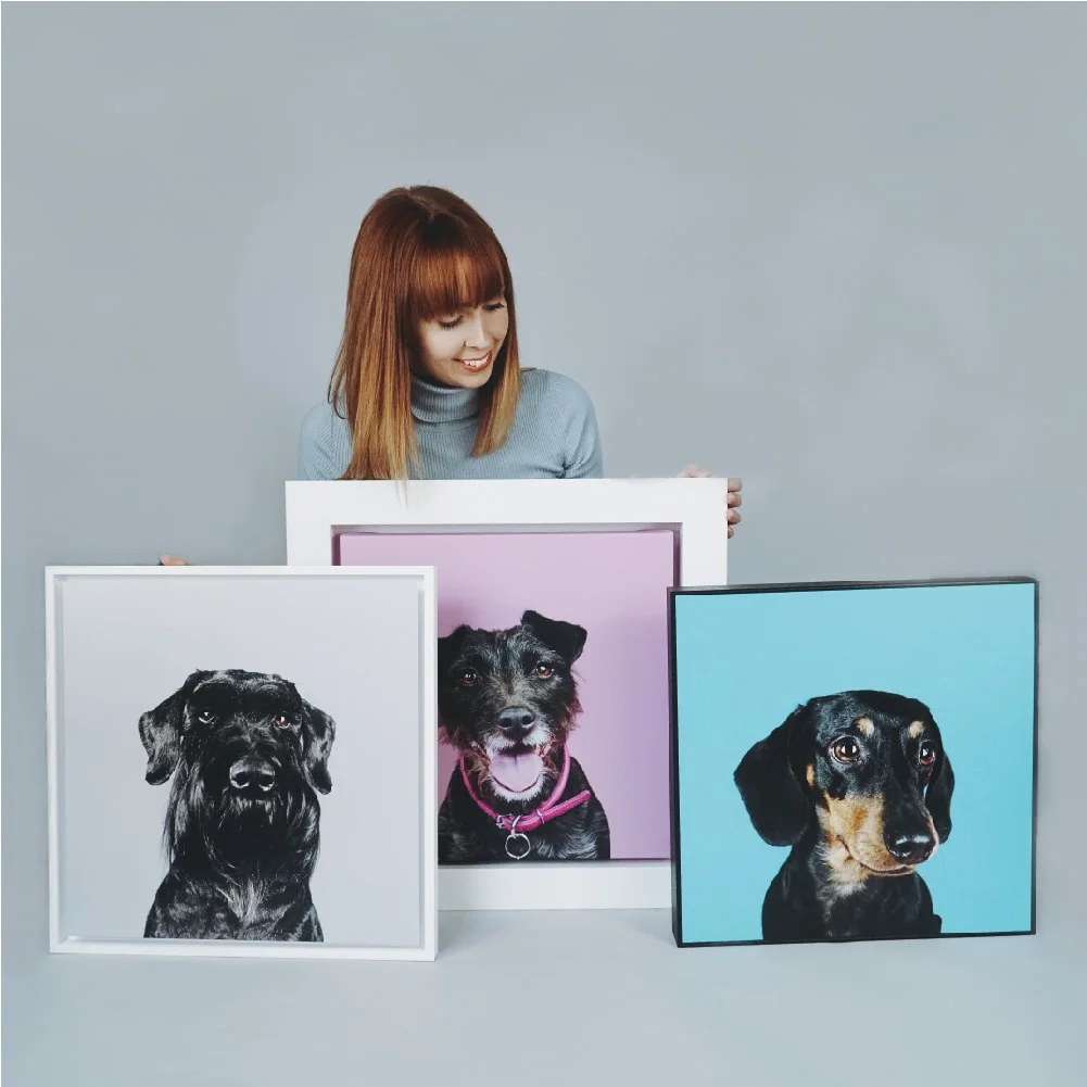 studiowoof-pet-photography-harrogate-00009.jpg