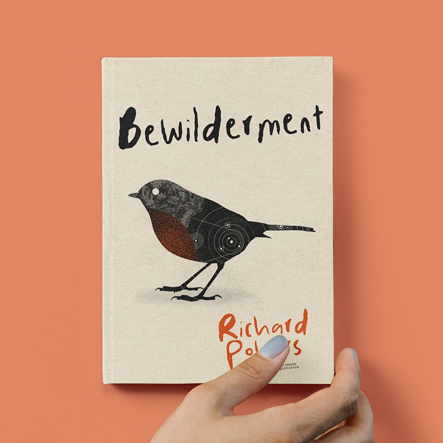 BEWILDERMENTCOVER2 copy.jpg