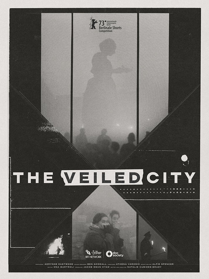 THE VEILED CITY WEB RES.jpg