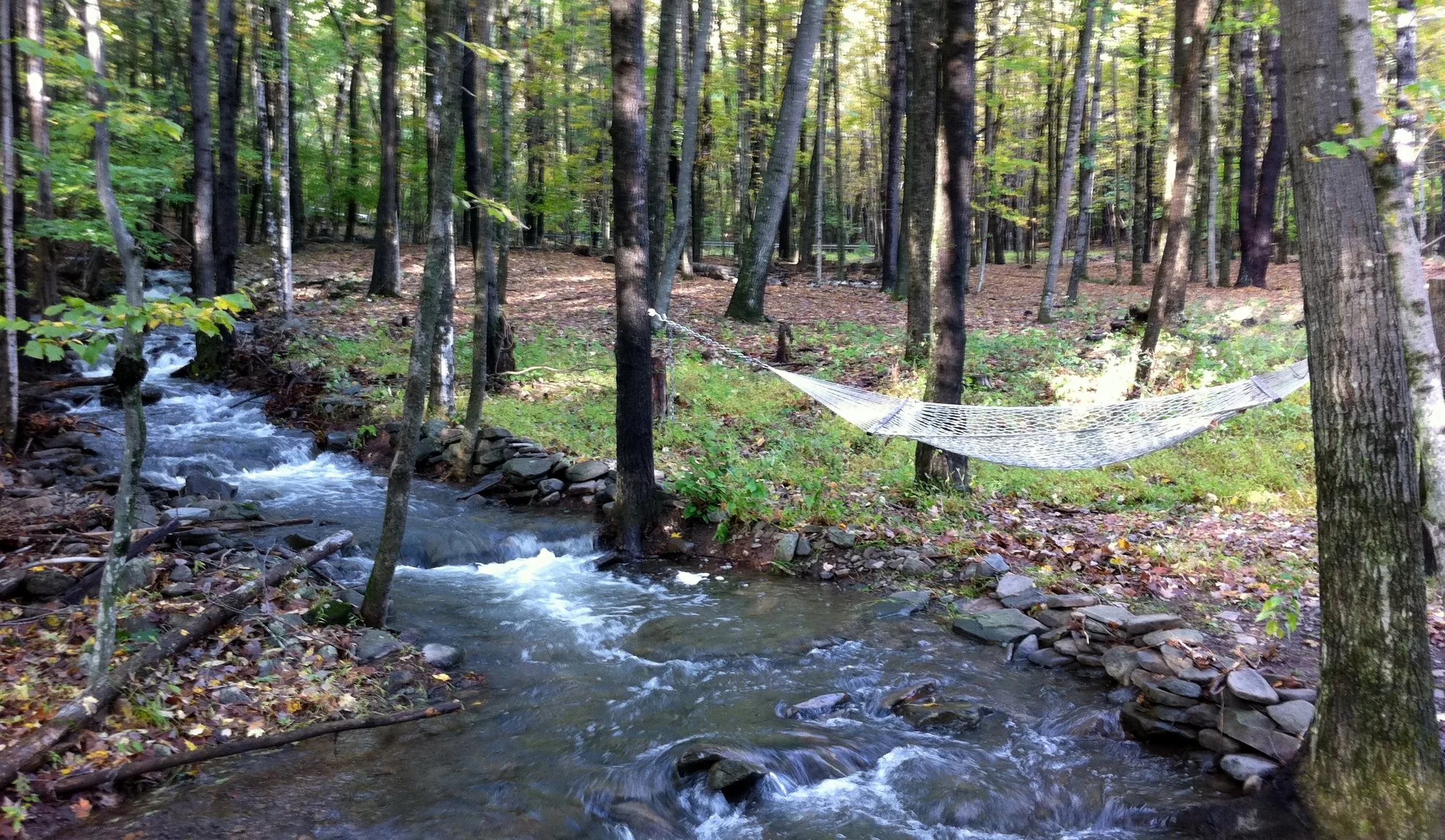 stream.JPG